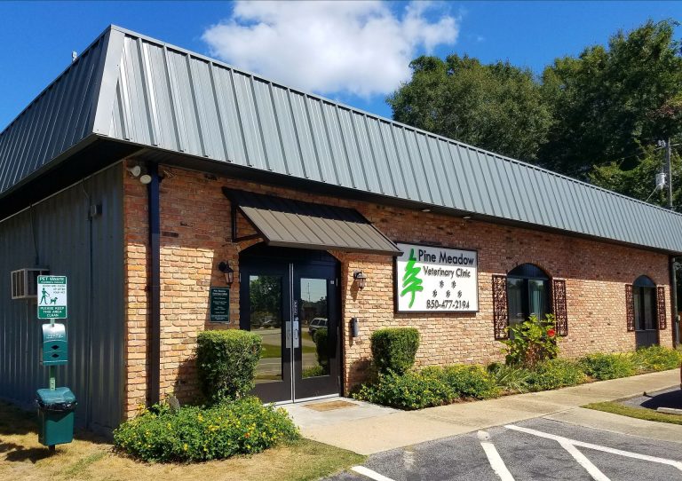 Contact the staff at Pine Meadow Veterinary Clinic in Pensacola, Florida