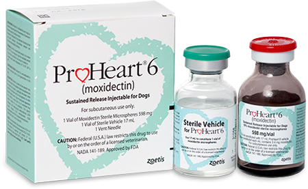 moxidectin dogs shot zoetis recent posts